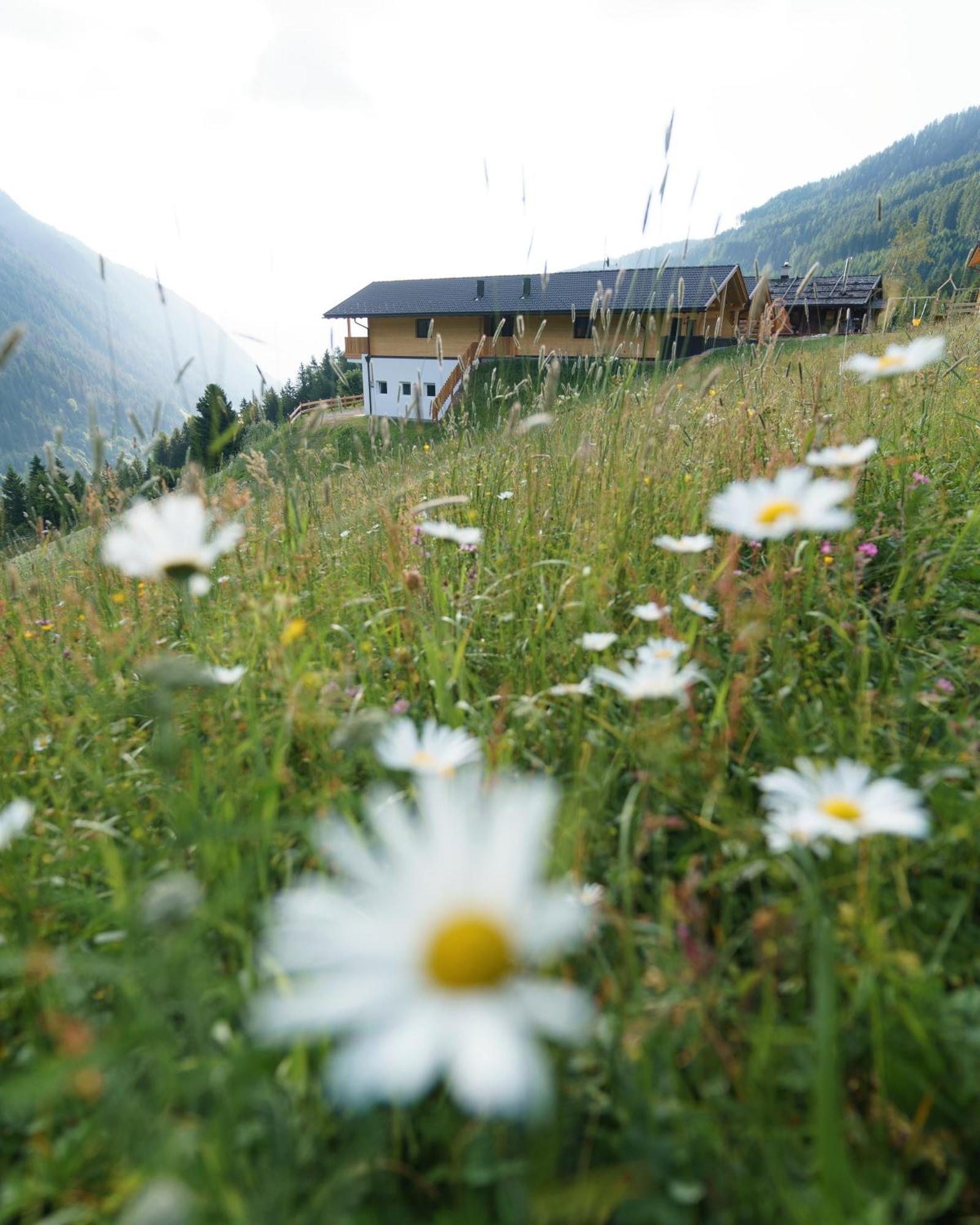 Blosegghof Bergchalets Waldblick Рачинес Экстерьер фото